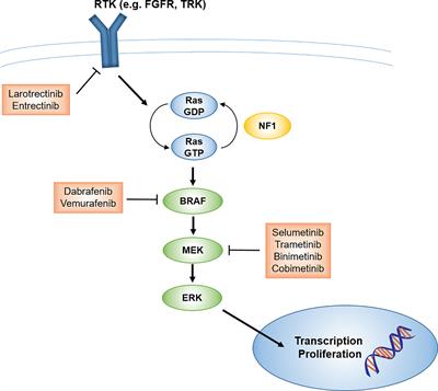 The Evolving Role of Radiotherapy for Pediatric Cancers With Advancements in Molecular Tumor Characterization and Targeted Therapies